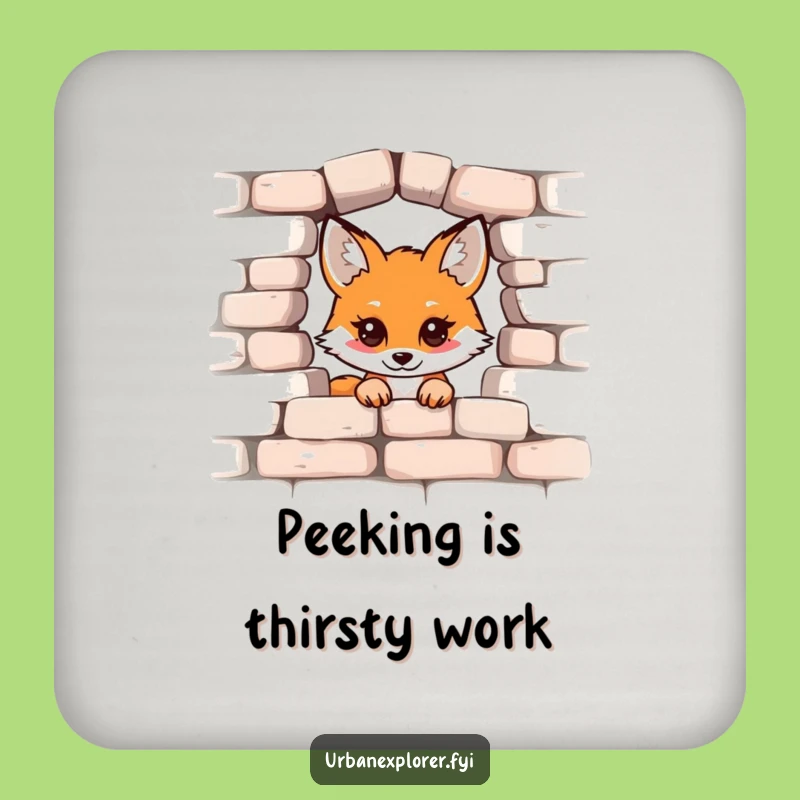 Funny Kawaii Fox Coaster Set: Cute Peek-a-Boo Brick Wall Drink Coasters, Perfect Funny Gift