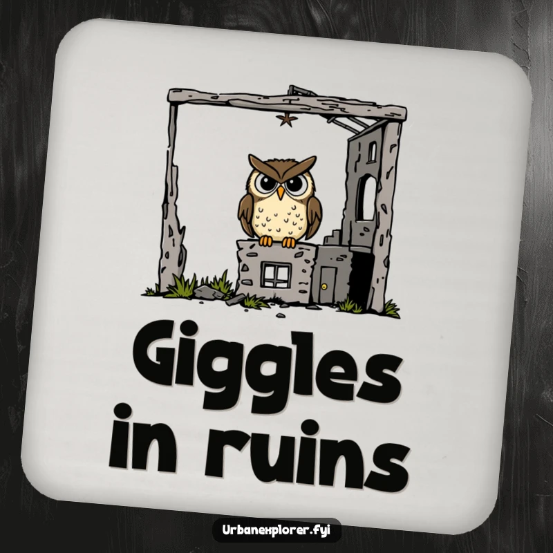 Funny goofy owl inside a derelict building on drink coasters, protecting surfaces with a touch of eccentric humor.