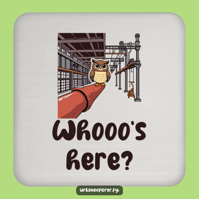 Funny Owl Industrial Coaster - Protect Surfaces with Wise Humor