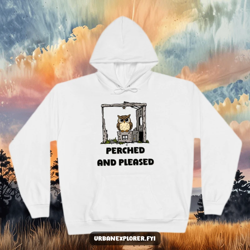 Funny goofy owl perched inside a derelict building on a cozy hoodie, perfect for eccentric comfort and humor.